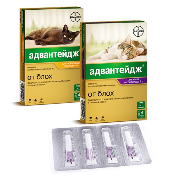 Капли Bayer Адвантейдж 80 кот от 4кг до 8кг (упаковка) 1737395022 фото