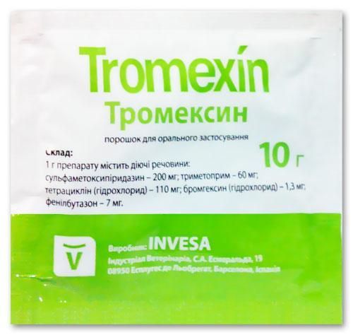 Тромексин порошок, 4 г 1101783 фото
