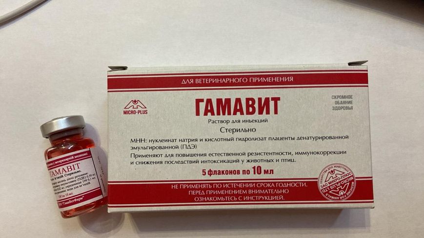Гамавит - иммуномодулирующий препарат для животных . 10 мл 2014325571 фото