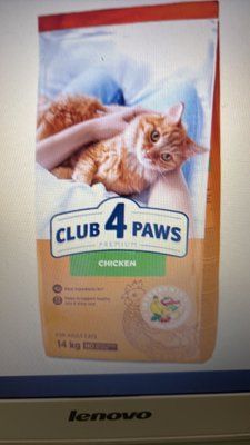 Club 4 Paws Adult Cats Chicken - сухий корм з куркою для дорослих котів 14 кг 1319 фото