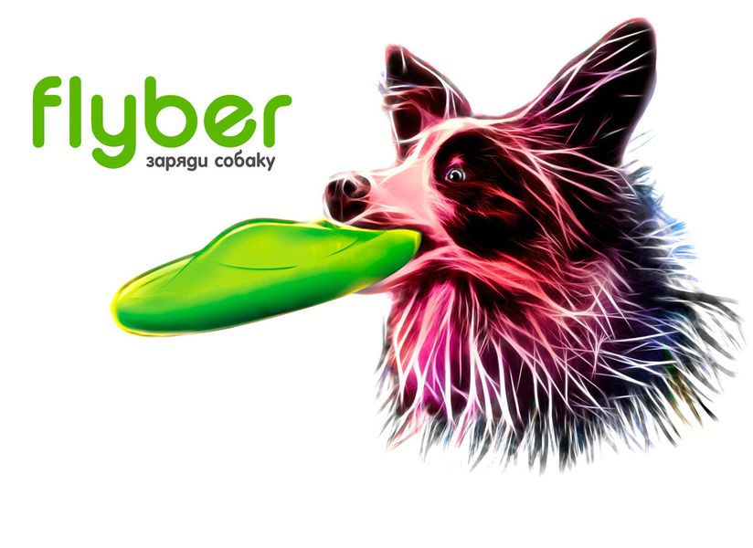 Іграшка для собак Флайбер Flyber перша двостороння літаюча тарілка 1525931836 фото