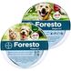 Ошейник Bayer Foresto (Форесто) от блох и клещей 38см. для собак малых пород и котов 1431597371 фото 2