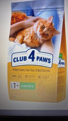 Club 4 Paws Adult Cats Chicken &mdash; сухий корм із куркою для дорослих кішок 2 кг 1306 фото