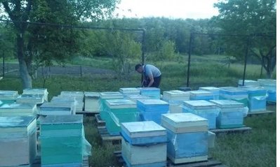 Новые укомплектованные ульи с пчелами 1633950289 фото