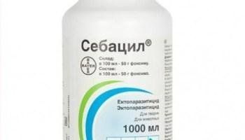 Себацил 50%  1431599142 фото