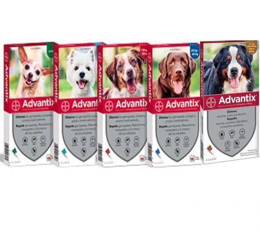 Bayer Advantix (Адвантикс) капли на холку для собак 40-60 кг  цена за 1 пипетку 1737401499 фото