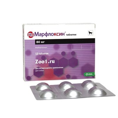 Марфлоксин 10% антибактериальный инъекционный 100мл (марбофлоксацин) КRКА 1729237424 фото