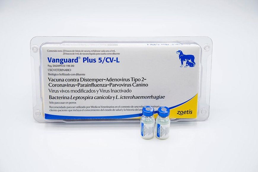 Вакцина Вангард Плюс 5/CV-L (з коронавірусом) 1514160237 фото