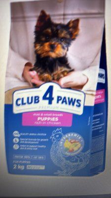 CLUB 4 PAWS Puppies Mini & Small Breeds Chicken &ndash; сухой корм с курицей для щенков малых и миниатюрных пород до 12 месяцев 2кг 1335 фото