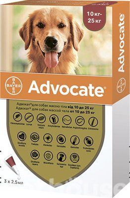 Адвокат для собак (Bayer Advocate) 10-25 кг цена за 1 пипетку 1800585227 фото