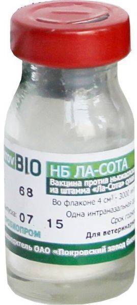 Вакцина Ла-Сота Полімун нх клон 124 жив 1фл -50 д * 1425418392 фото