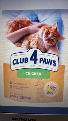 Club 4 Paws Adult Cats Chicken - сухой корм с курицей для взрослых кошек 0.9кг 1289 фото