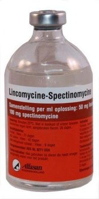 Линкомицин-Спектиномицин 10%, 100 мл 1432148565 фото