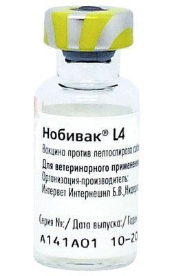 Нобивак L4 вакцина против лептоспироза собак 1514210210 фото