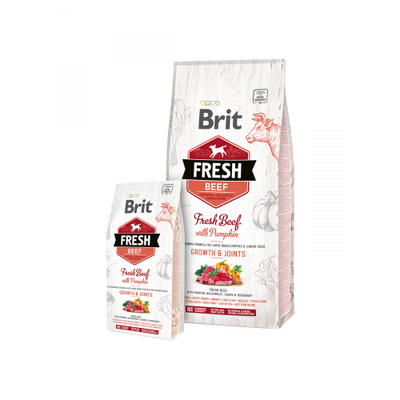 Brit Fresh Beef/Pumpkin Puppy Large 12 kg (говядина,тыква д/щенков крупных пород) 170991/530755 фото