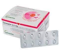 Клавасептин (Clavaseptin) 62,5 мг 10 табл. - Vetoquinol для кішок і собак - аналог Синулокс 1648813761 фото