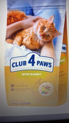 Club 4 Paws Adult Cats Rabbit &mdash; сухий корм із кроликом для дорослих кішок 2 кг 1308 фото