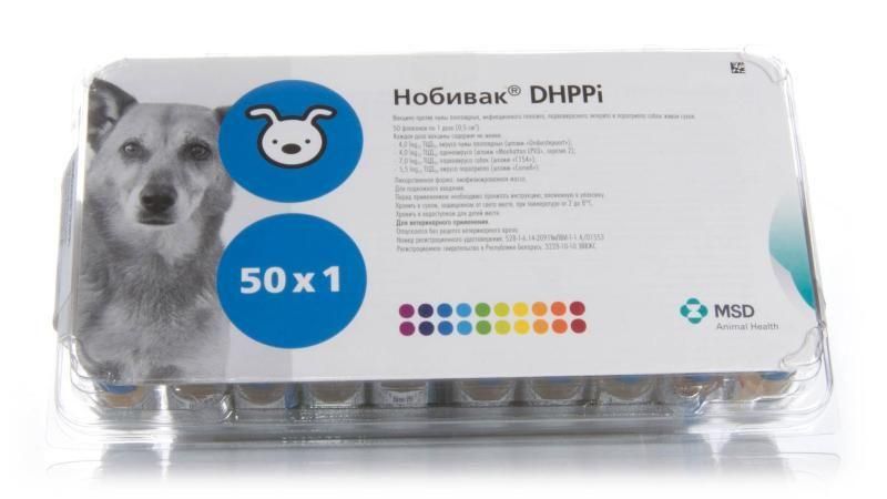 Нобивак DHPPi (Nobivac DHPPi) вакцина для собак против чумы(С Растворителем) 1678189364 фото