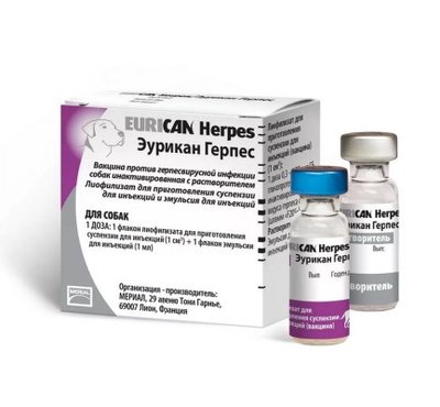 Вакцина Eurican Herpes (Єурікан від герпесу) – 1 доза. вектра фото