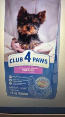 CLUB 4 PAWS Puppies Mini & Small Breeds Chicken - сухой корм с курицей для щенков малых и миниатюрных пород до 12 месяцев 14 кг 1351 фото