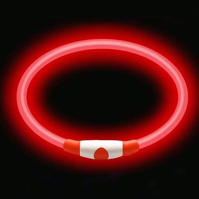 Ошейник Trixie светящийся с USB XS-S 35 см 7 мм красний 1721582107 фото
