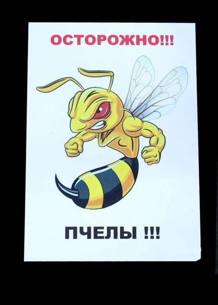 Табличка «Обережно Бджоли» DP0007VT фото