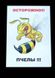 Табличка «Обережно Бджоли» DP0007VT фото 2