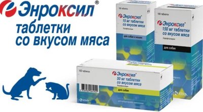 Енроксіл (Енроксіл) таблетки зі смаком м'яса 15 мг. №10 460263447 фото