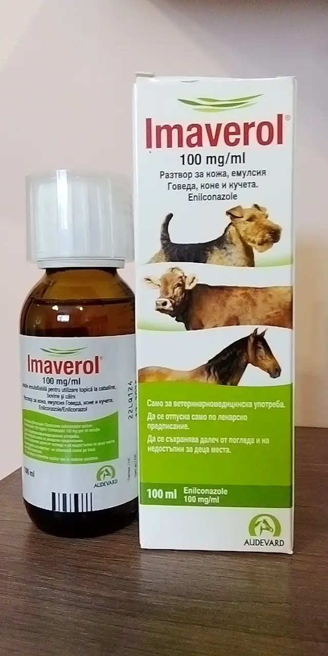 Противогрибковые препараты для кожи собак