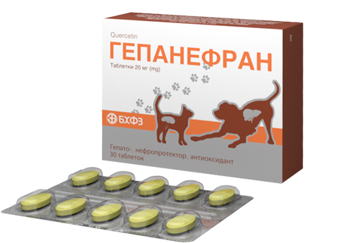 Гепанефран таблетки 20 мг No30 * 1714757992 фото