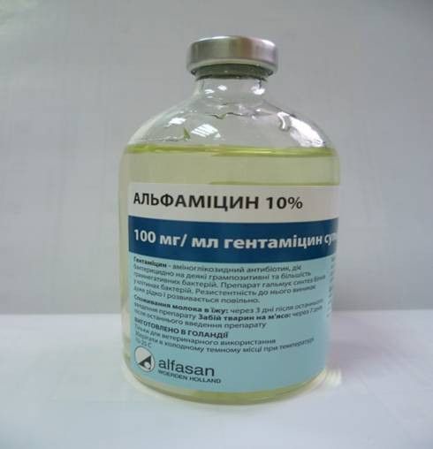 Альфаміцин 10%, Альфасан Нідерланди – антибіотик широкого спектру дії. 48882701 фото